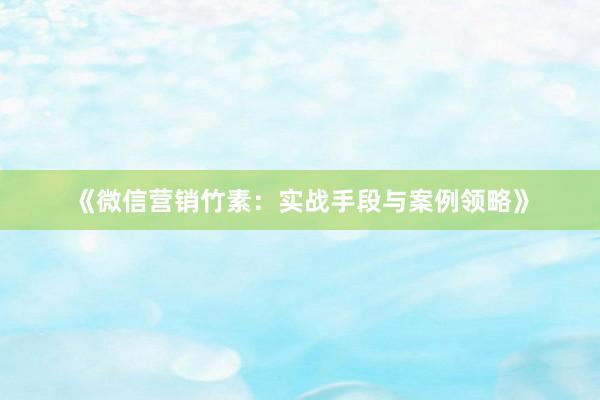 《微信营销竹素：实战手段与案例领略》