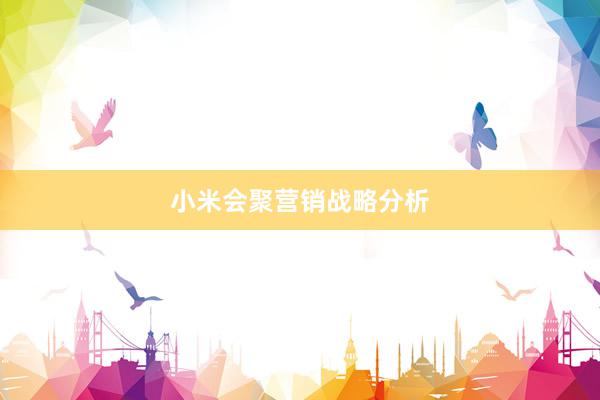 小米会聚营销战略分析